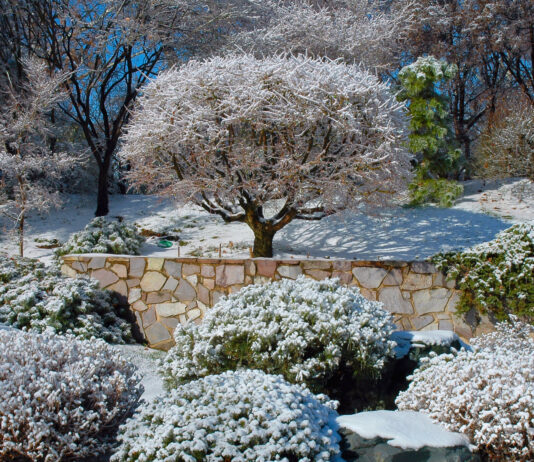 Winter Forgiveness – A Poem